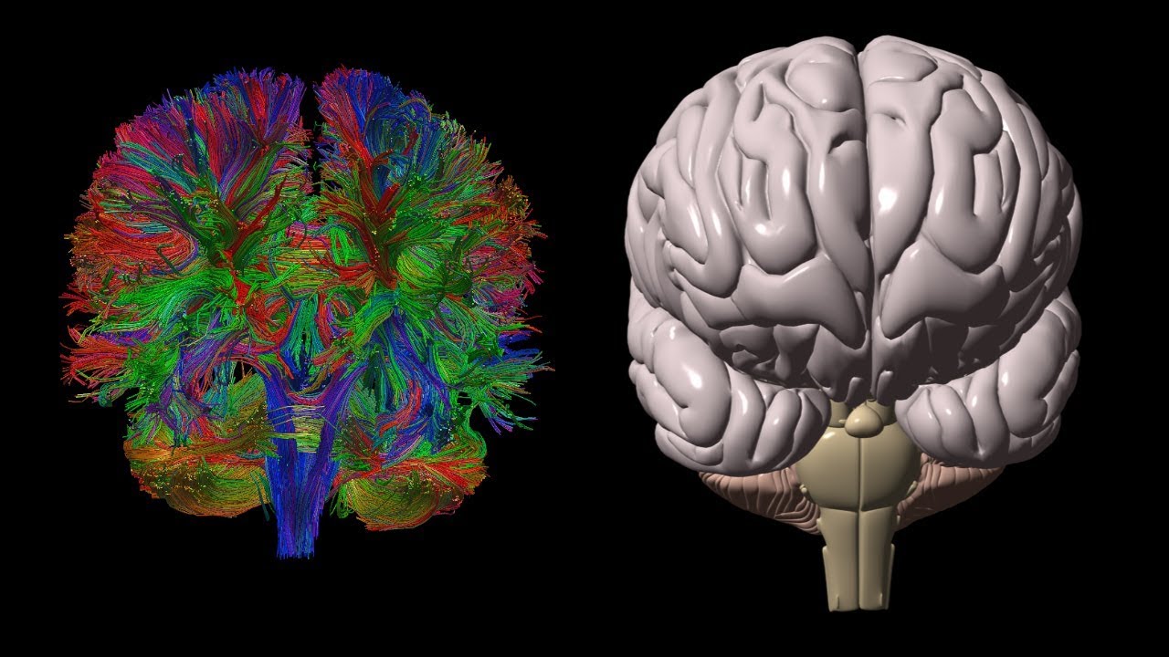 diffusion tensor imaging