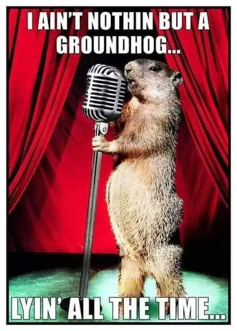 happy groundhog day memes