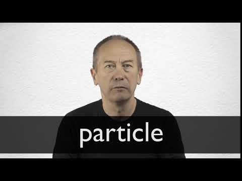 particle synonym