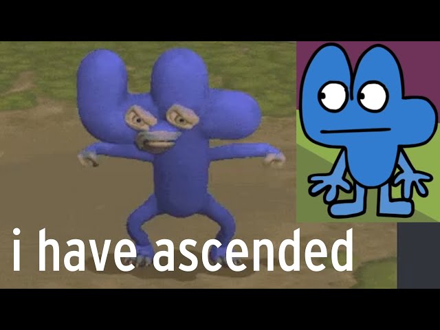 four bfdi