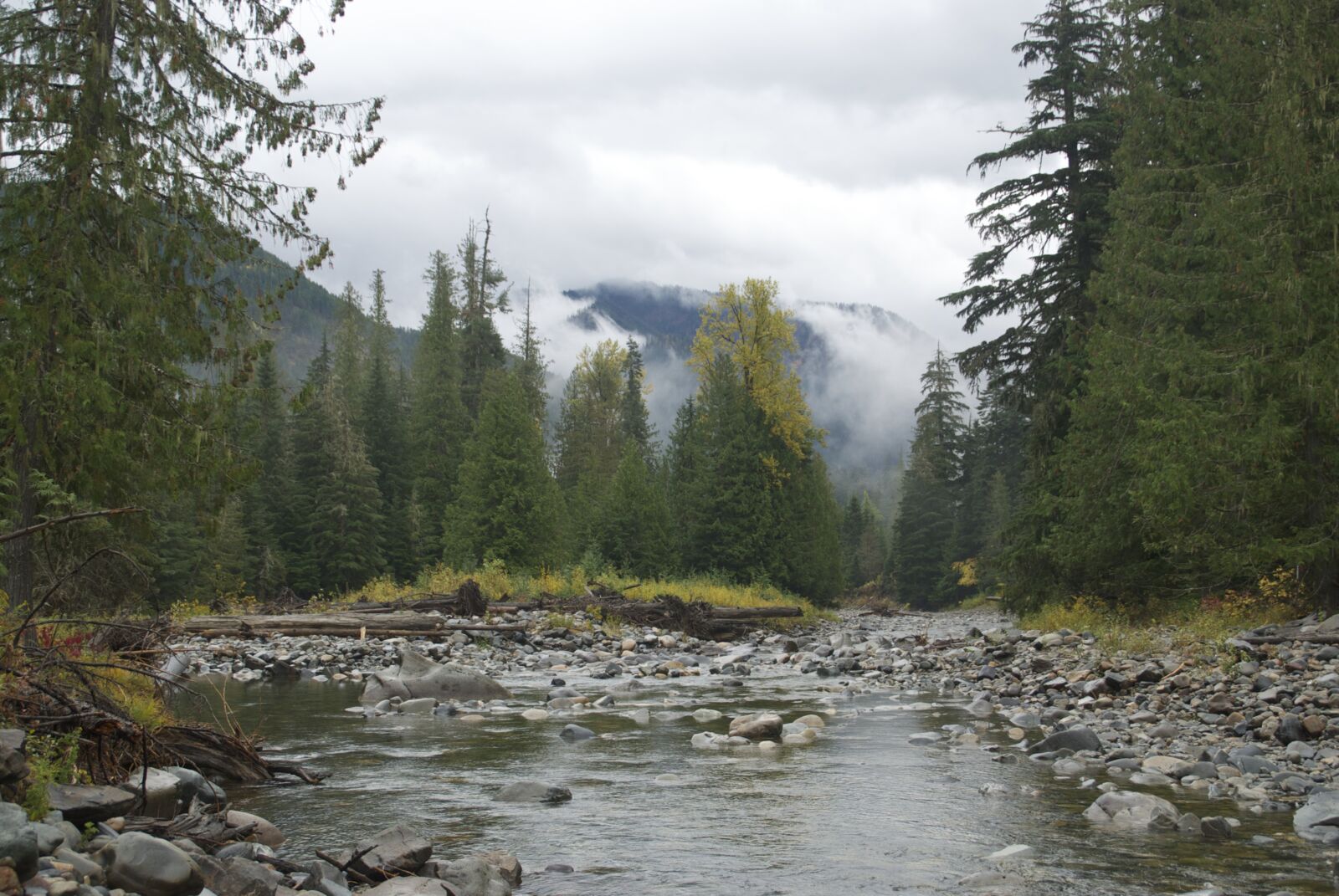 idaho panhandle national forest