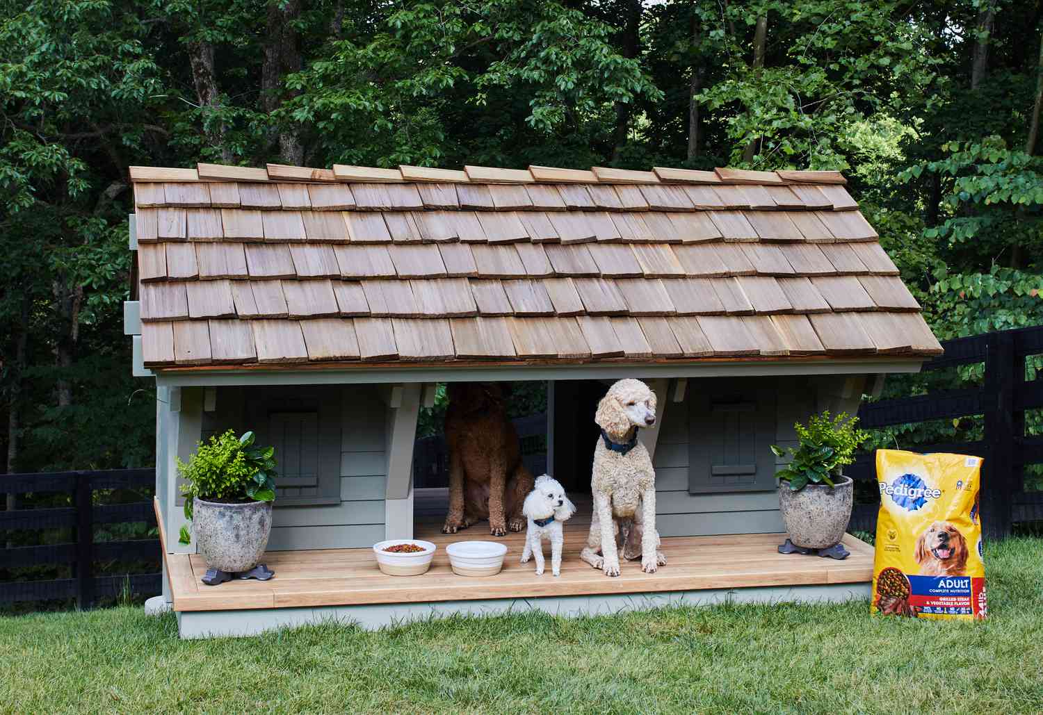 dog house builders