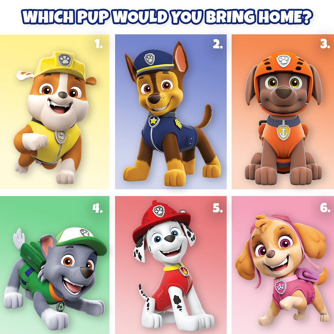 how many pups are there in paw patrol