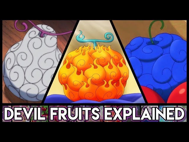 3 types of devil fruit