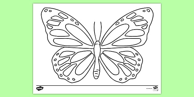 colouring pages butterfly