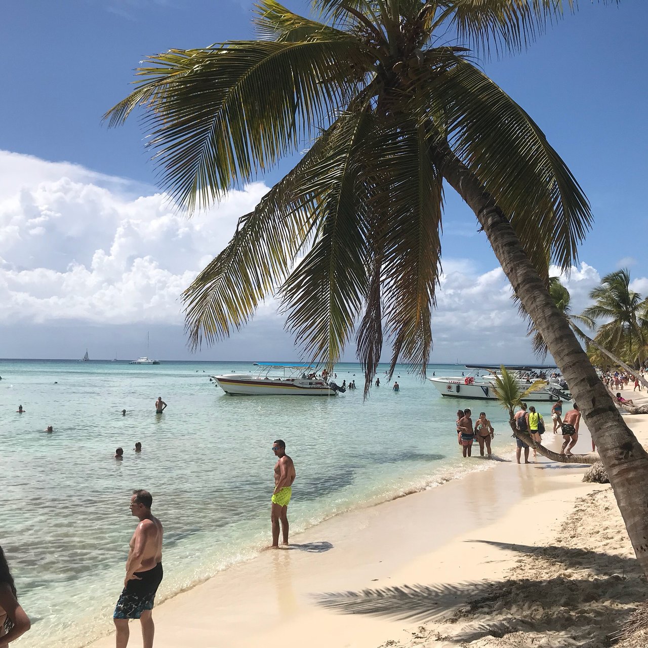 pedrito punta cana