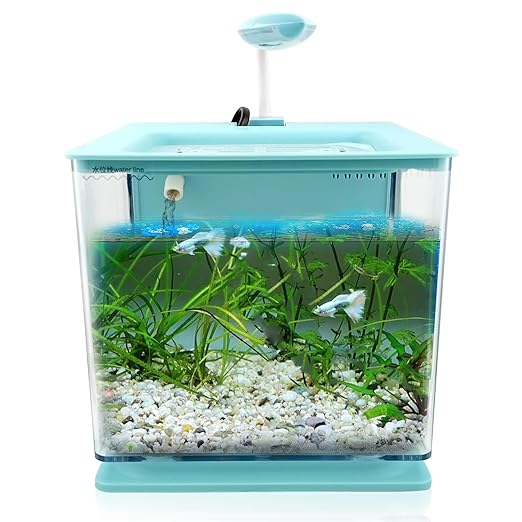 acrilic fish tank