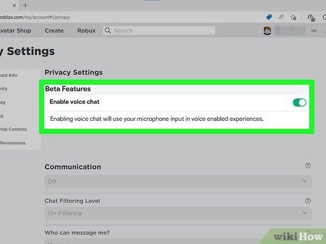 how to turn on voice chat in roblox