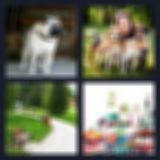 4pics 1word level 67