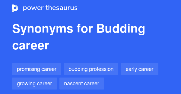 synonym for career