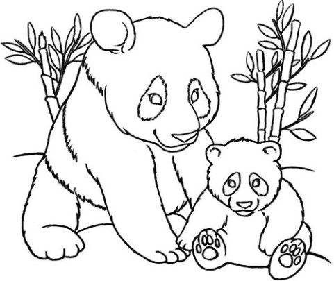 oso panda para colorear