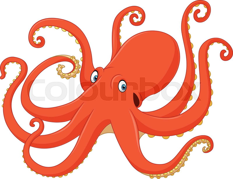 cartoon octopus