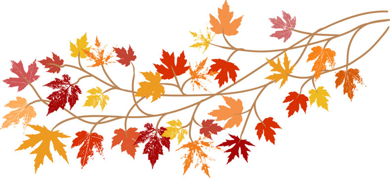 autumn leaves clip art