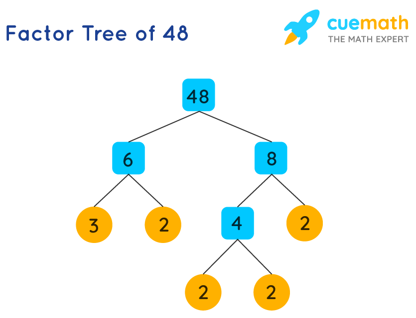 factors of 48