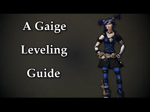 gaige leveling guide