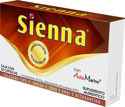 sienna plm