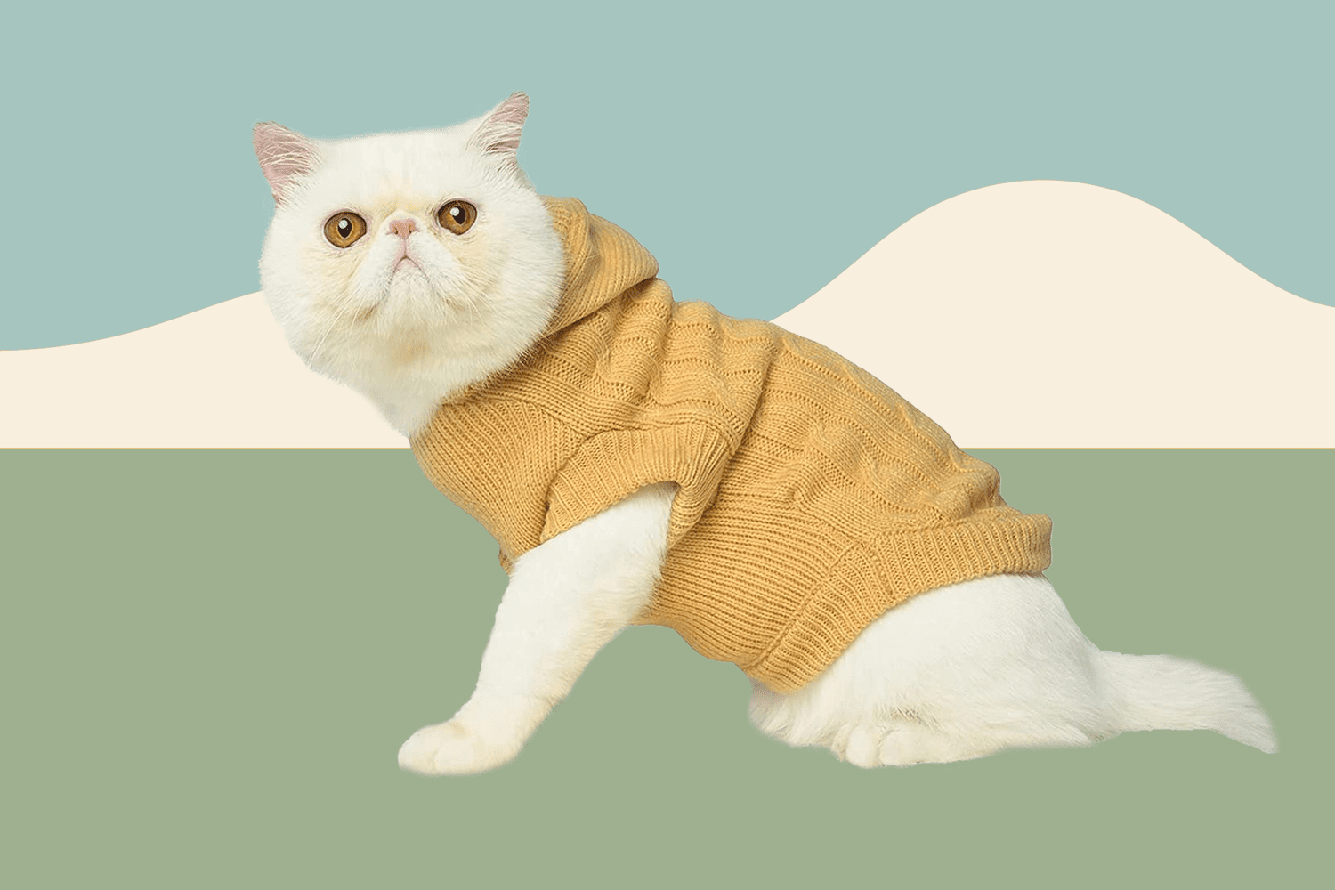 cat coats for winter