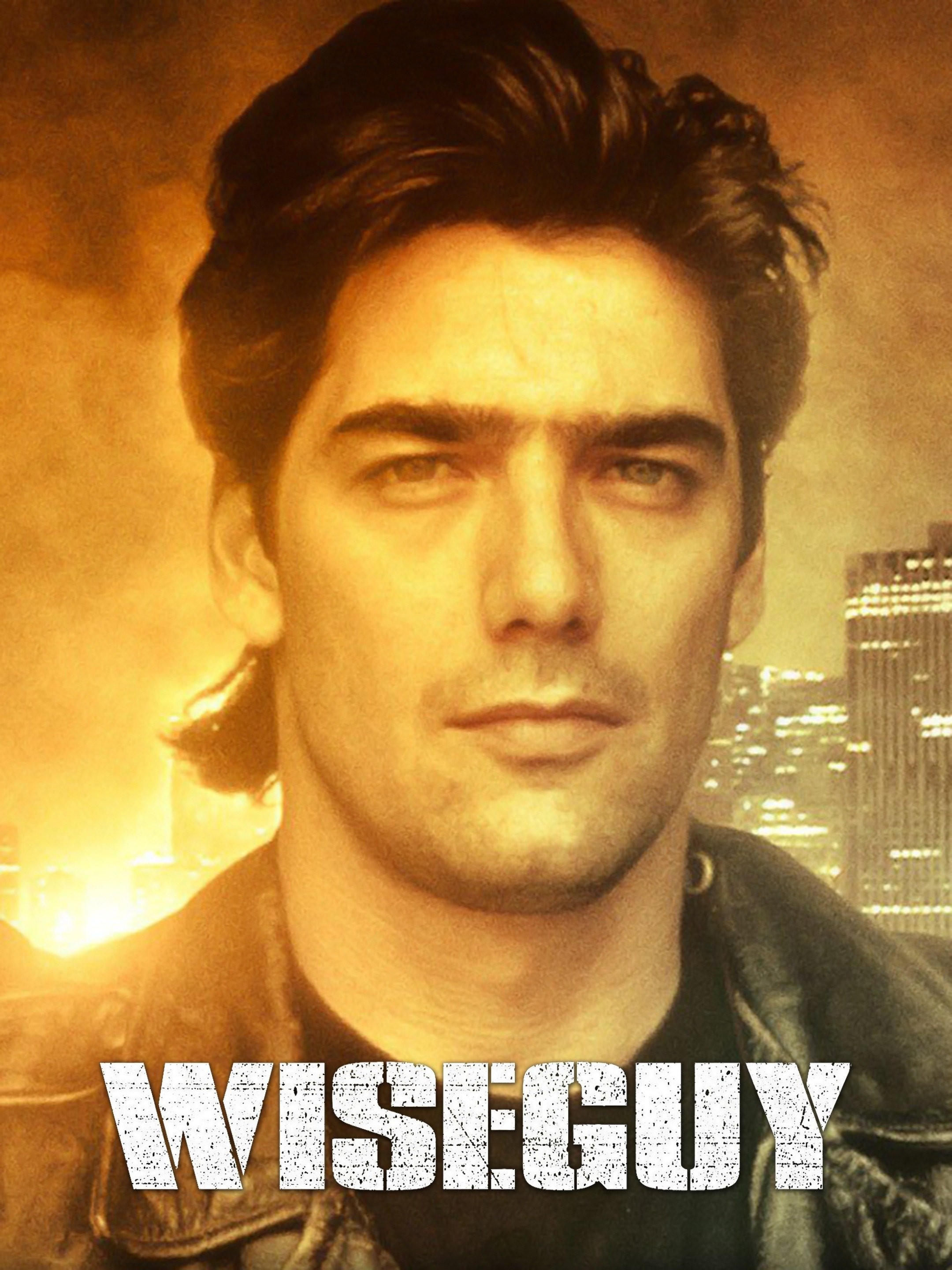 wiseguy tv show cast