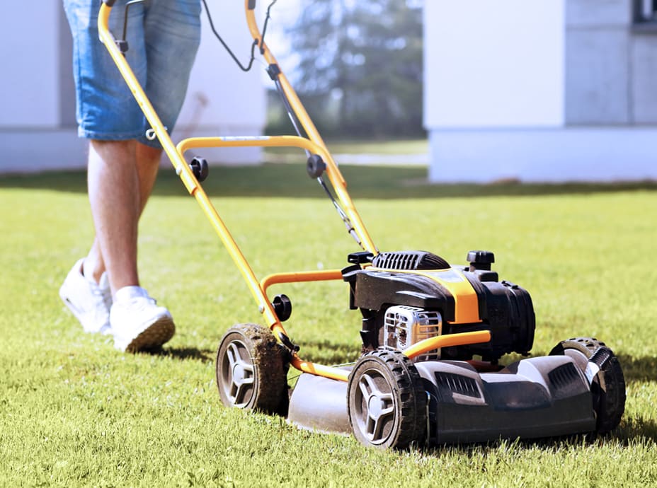 mowing service