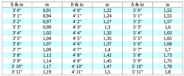 height converter feet to m