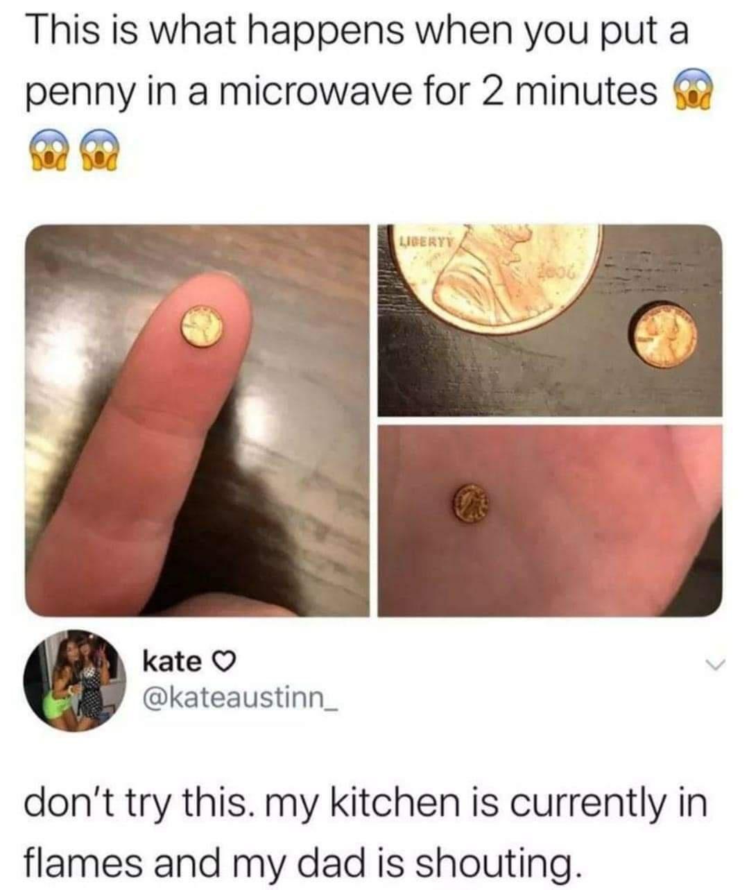 what happens when you put a penny in the microwave