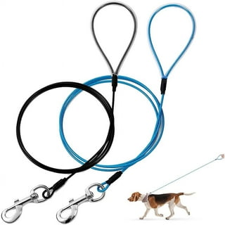 chew proof dog leash