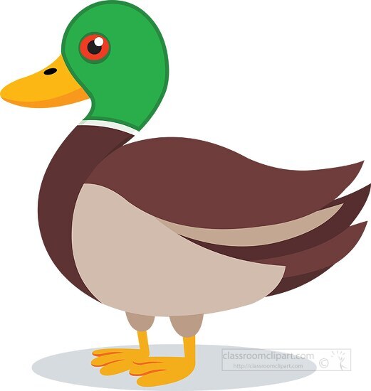 duck clipart