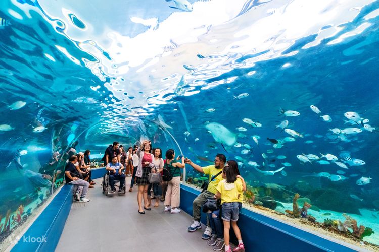 cebu ocean park ticket online booking