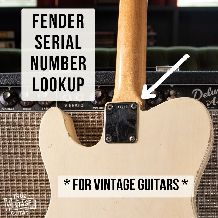 fender guitar serial number search