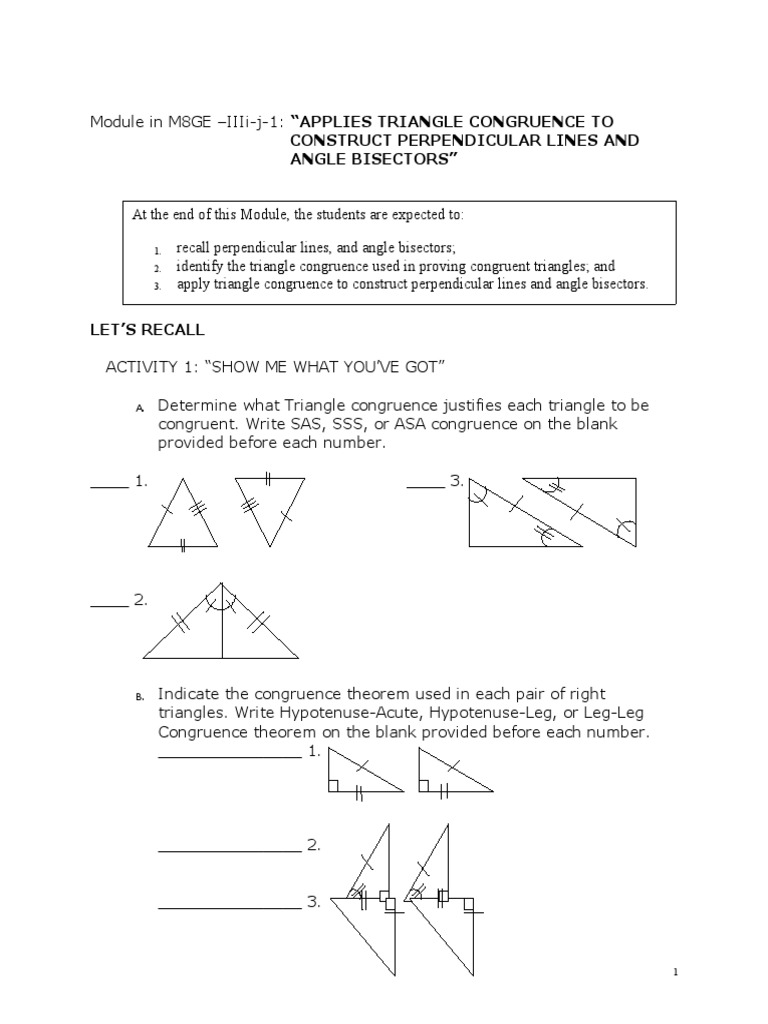 applies triangle congruence to construct perpendicular lines and angle bisectors