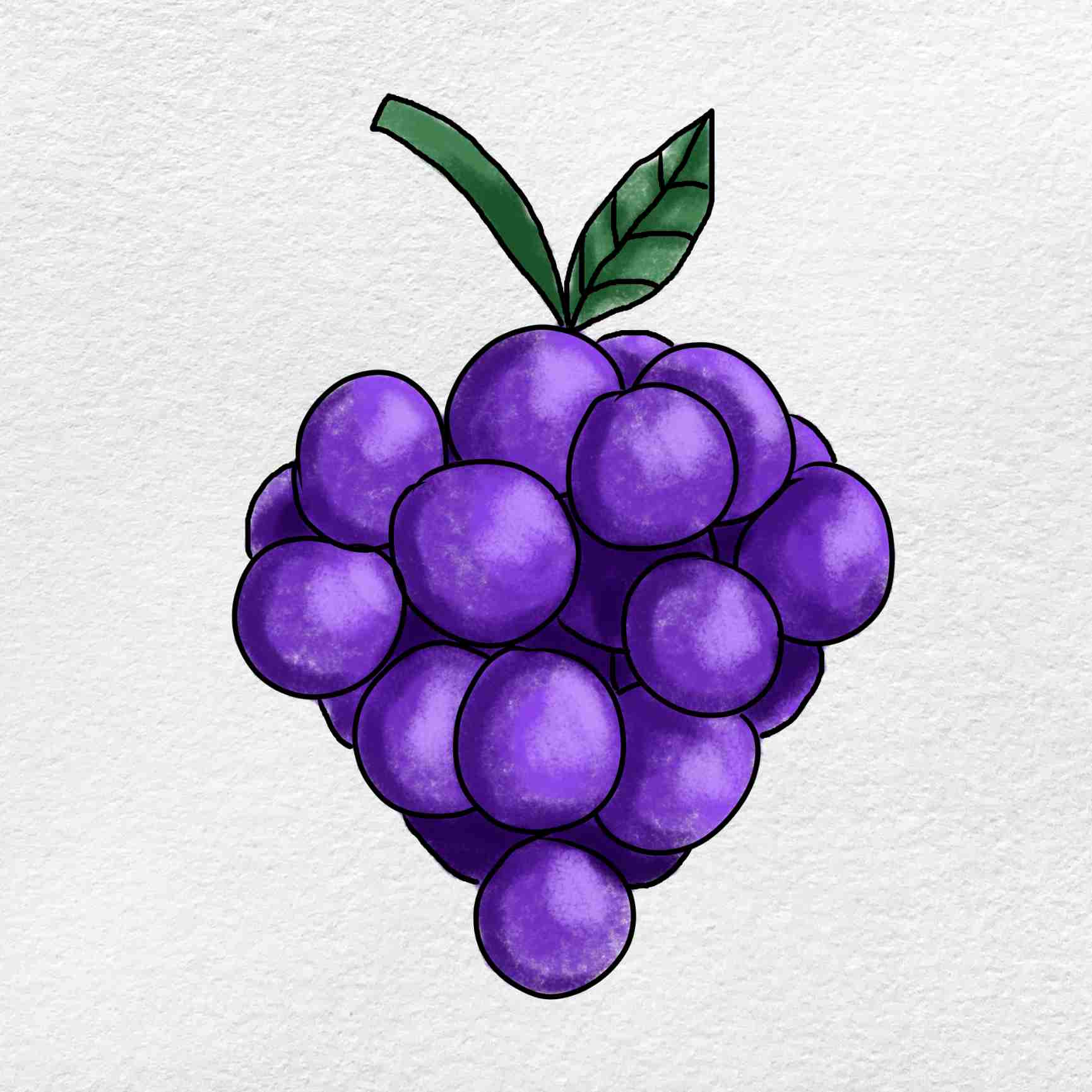 grapes drawing easy