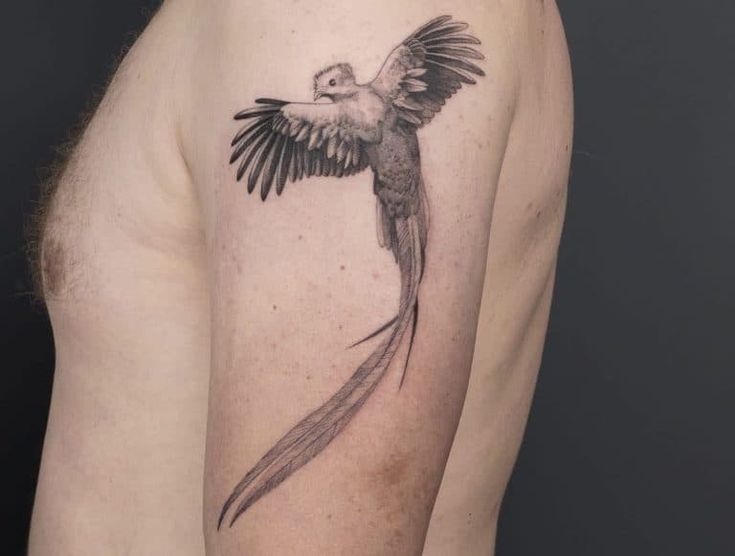 quetzal tattoo black and white