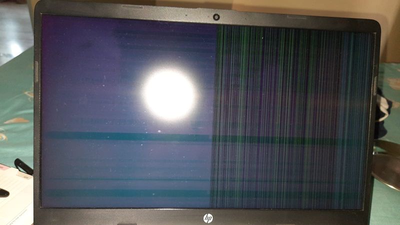 hp laptop flickering