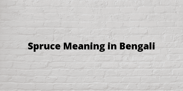 spruce meaning in bengali