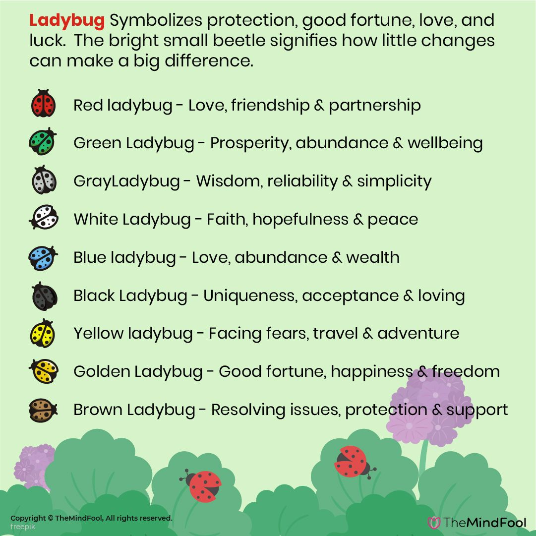 purple ladybug meaning