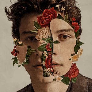 foto album shawn mendes