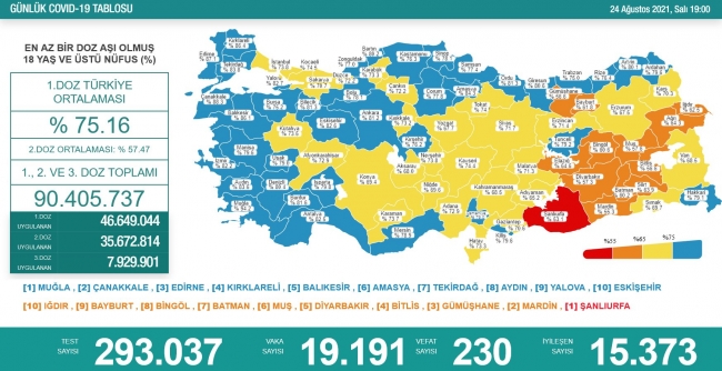 türkiye haritası corona