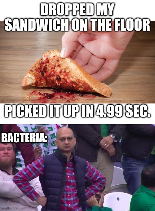 5 second rule meme