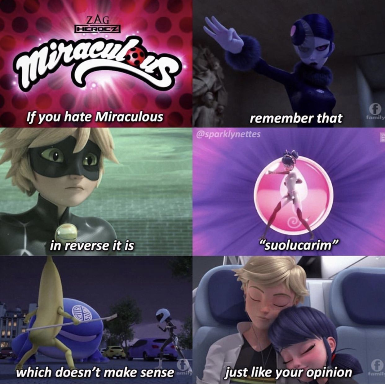 miraculous ladybug memes funny