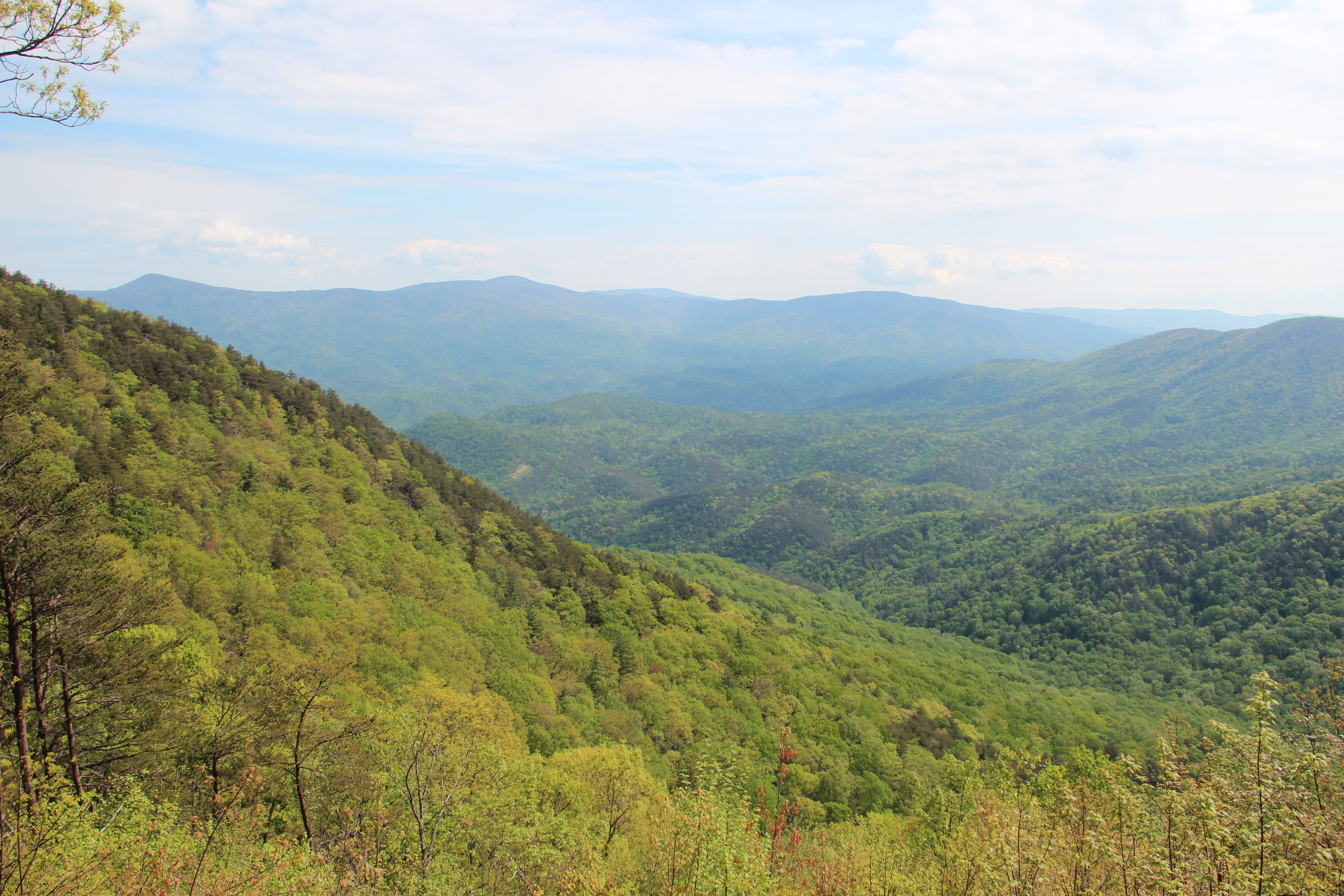 oconee national forest