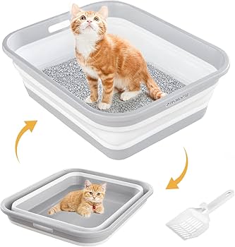 litter box for disabled cats