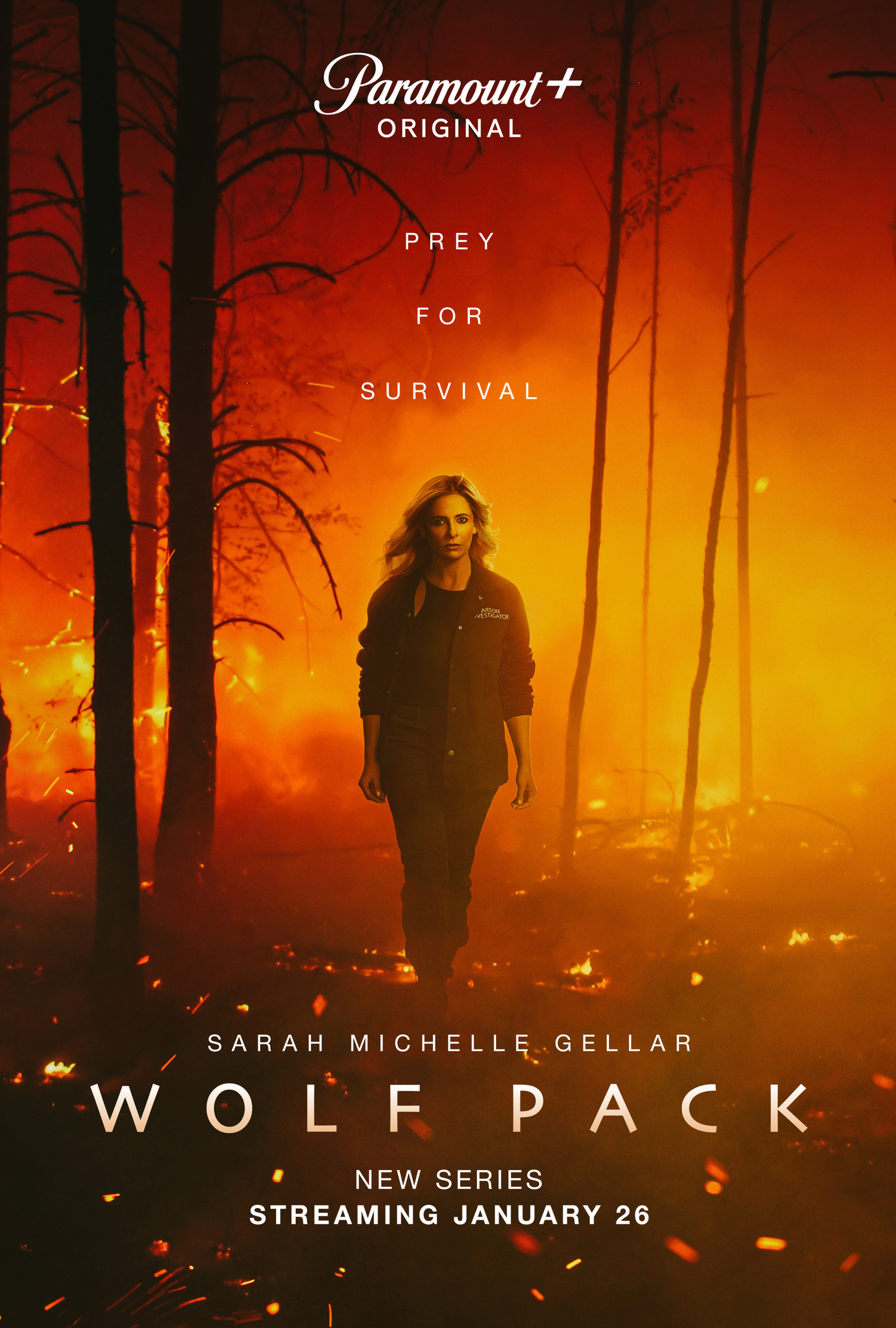 imdb wolf pack