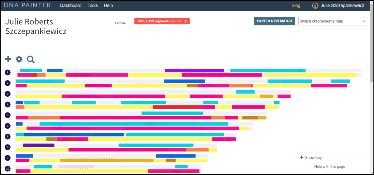 dna painter