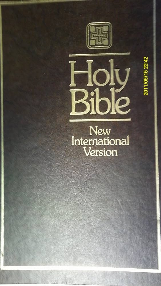 holy bible new international version
