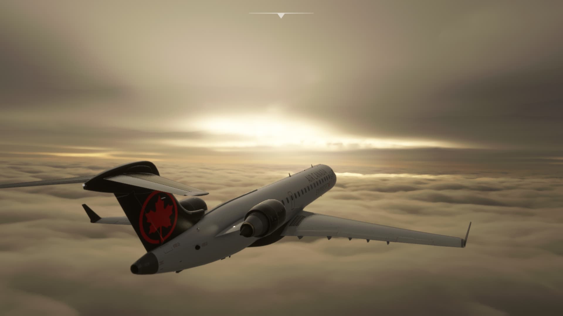 forum flight simulator