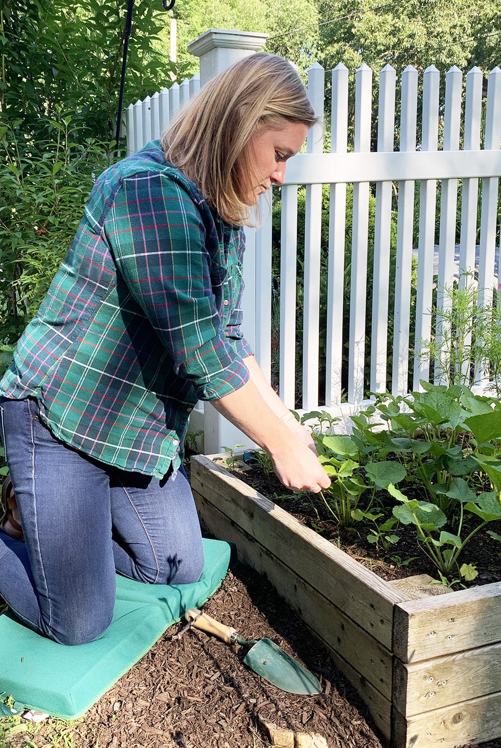 inexpensive raised garden beds