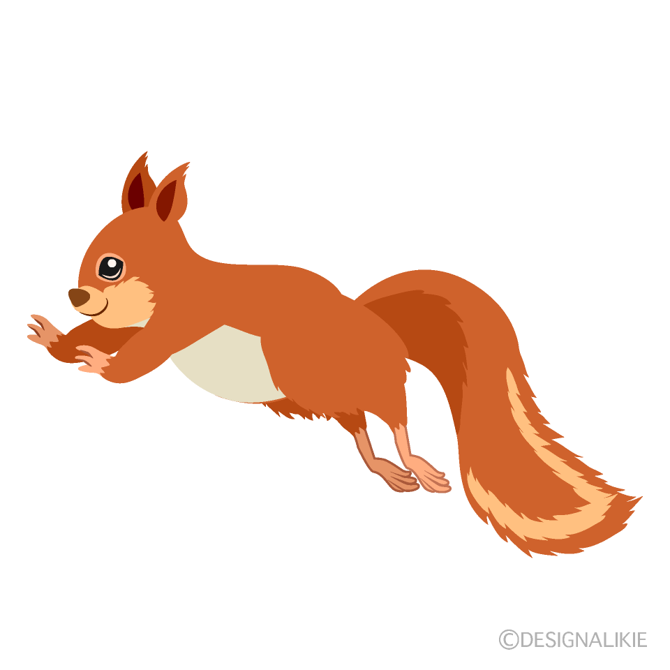 squirrels clipart