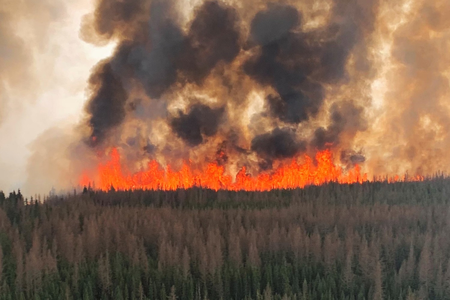 alberta wildfire status