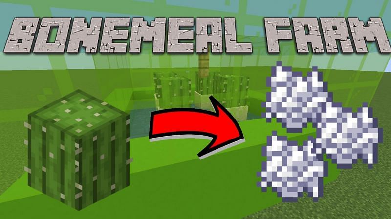 bone meal farm