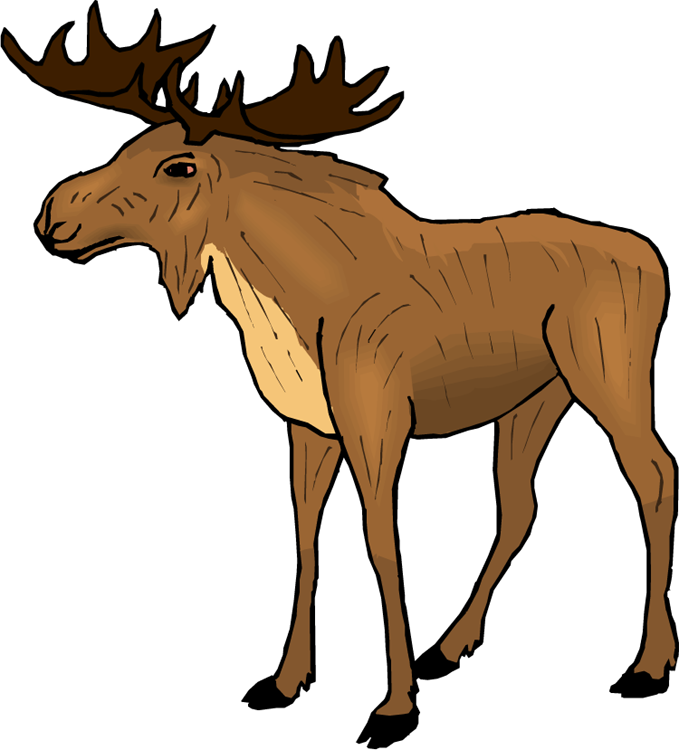 moose clipart